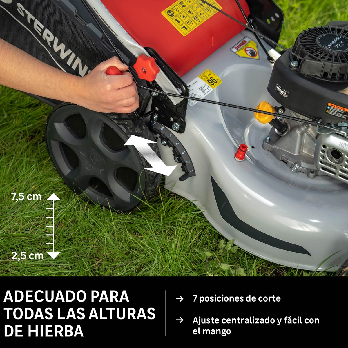 Cortacésped de gasolina 149cc STERWINS PLM1-46Z150.6 | Multialquiler Levante Valencia